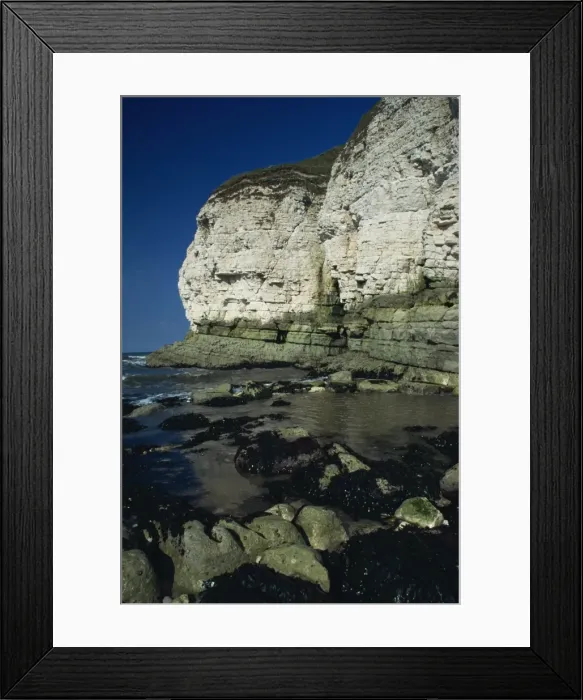 Framed Print : Limestone cliffs, Thornwick Bay, Humberside, England, United Kingdom, Europe Framed Print : Limestone cliffs, Thornwick Bay, Humberside, England, United Kingdom, Europe