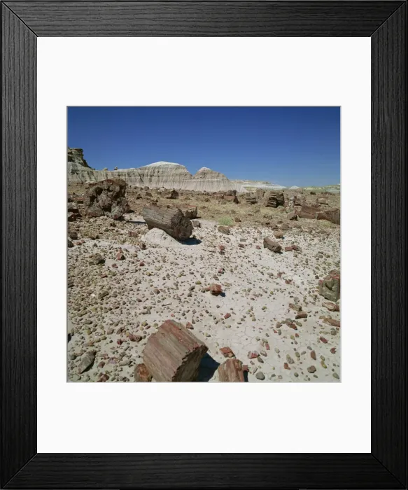Framed Print : Petrified forest, Arizona, United States of America, North America Framed Print : Petrified forest, Arizona, United States of America, North America