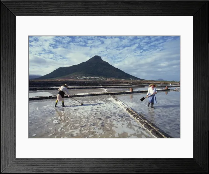 Framed Print : Salt pans, Mauritius, Indian Ocean, Africa Framed Print : Salt pans, Mauritius, Indian Ocean, Africa