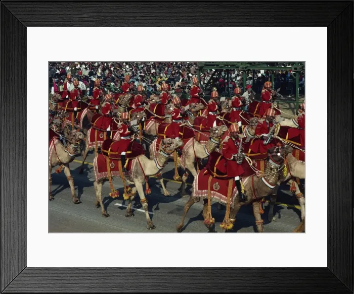 Framed Print : Contingent Parades, Republic Day, Delhi, India, Asia Framed Print : Contingent Parades, Republic Day, Delhi, India, Asia