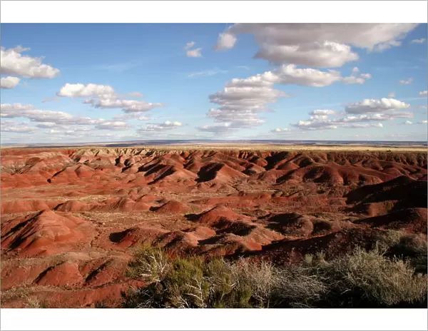 Painted Desert, Arizona, United States of America, North America