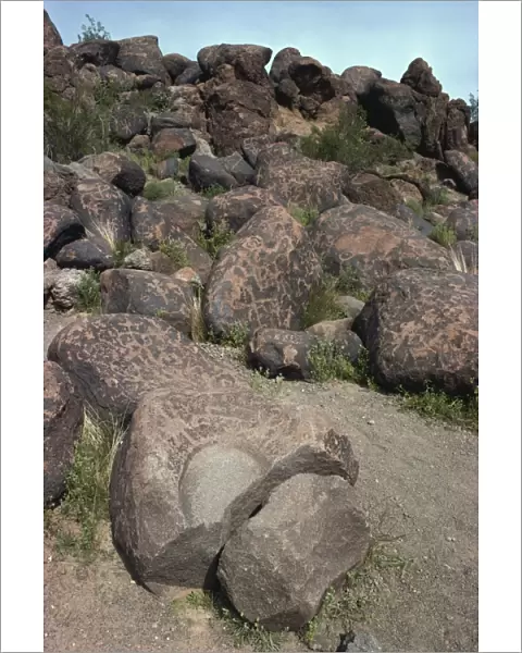 Indian petroglyphs, Painted Rocks, Arizona, United States of America, North America