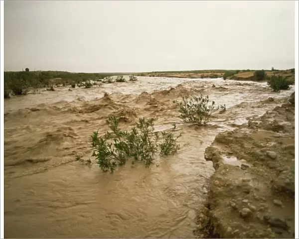 Flash flood in oued (river bed) in normally dry Algerian Sahara region