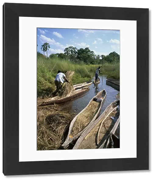 Mokoros (dugout canoes), Okavango Delta, Botswana, Africa