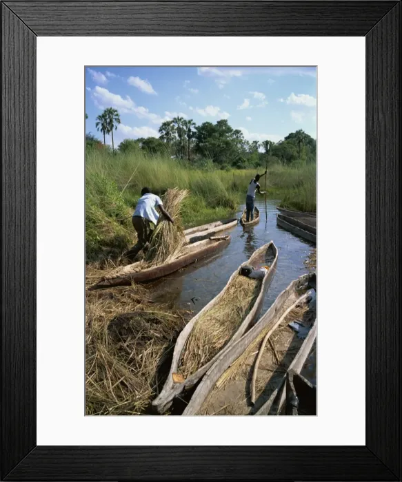 Framed Print : Mokoros (dugout canoes), Okavango Delta, Botswana, Africa Framed Print : Mokoros (dugout canoes), Okavango Delta, Botswana, Africa