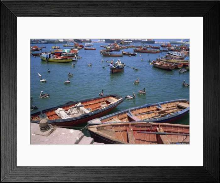 Framed Print : Fishing terminal, Arica, Chile, South America Framed Print : Fishing terminal, Arica, Chile, South America