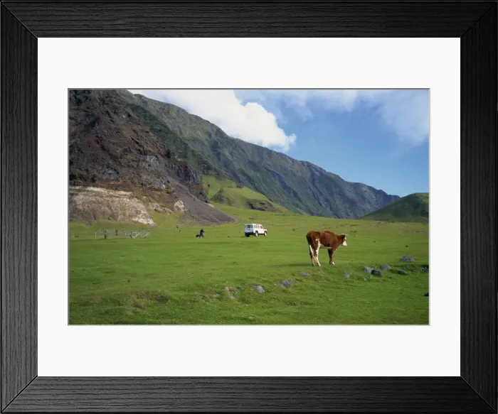 Framed Print : Pastures near settlement of Edinburgh, Tristan da Cunha, mid-Atlantic Framed Print : Pastures near settlement of Edinburgh, Tristan da Cunha, mid-Atlantic