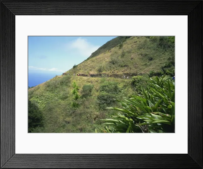 Framed Print : Walkers on Green Mountain, Ascension Island, Mid Atlantic Framed Print : Walkers on Green Mountain, Ascension Island, Mid Atlantic