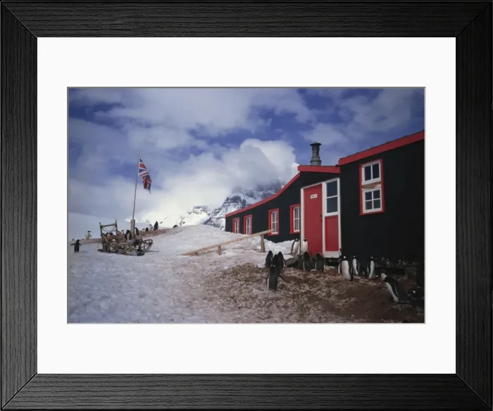 Framed Print : Port Lockroy hut, British station built in 1944, Antarctic Peninsula, Antarctica Framed Print : Port Lockroy hut, British station built in 1944, Antarctic Peninsula, Antarctica