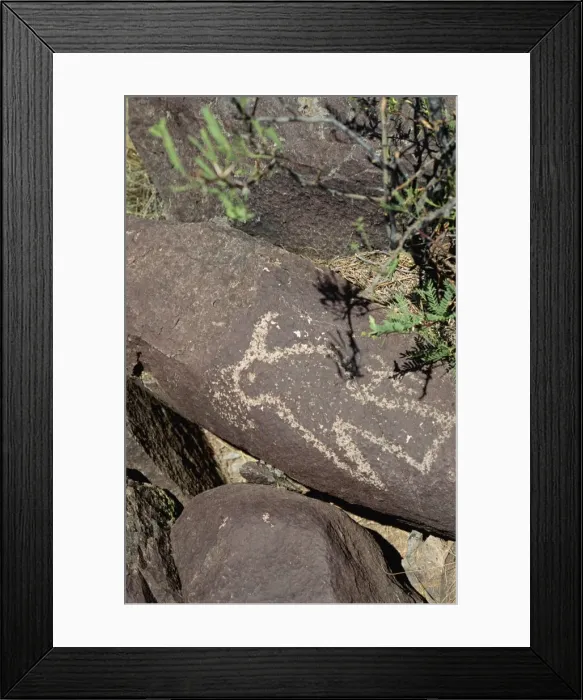 Framed Print : Bird pecked into desert varnish of volcanic rock between 900 and 1300AD Framed Print : Bird pecked into desert varnish of volcanic rock between 900 and 1300AD
