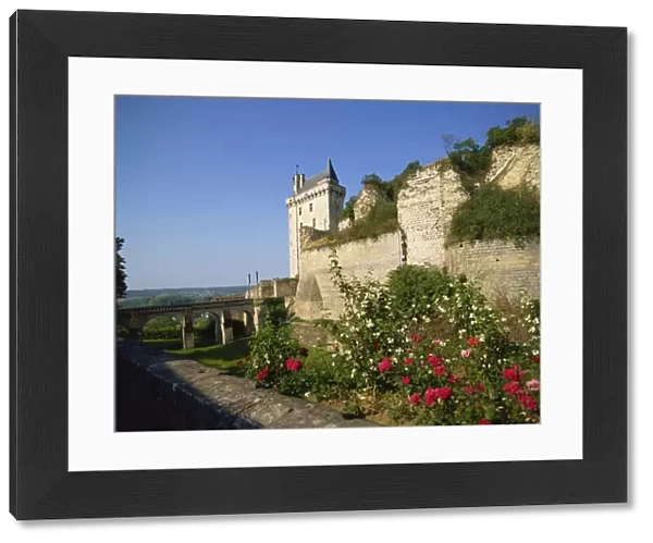 Chateau de Chinon, Indre-et-Loire, Loire Valley, France, Europe