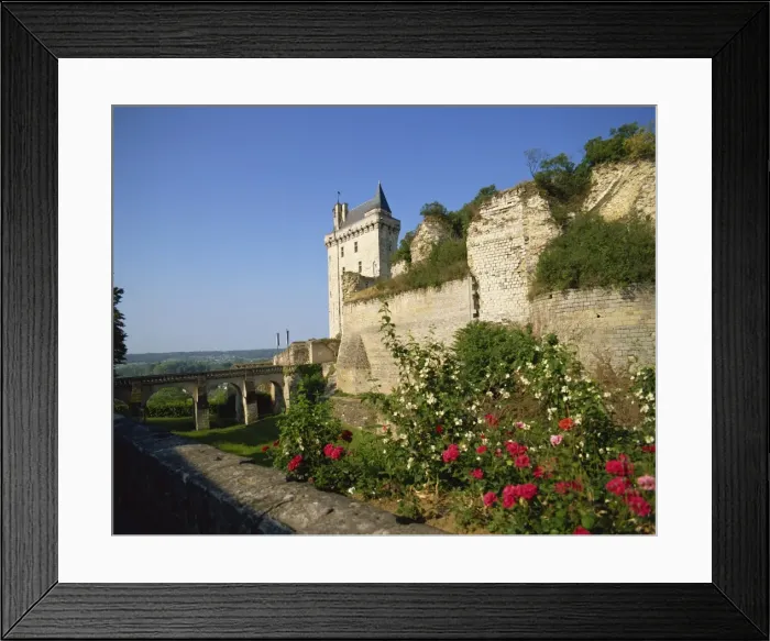 Framed Print : Chateau de Chinon, Indre-et-Loire, Loire Valley, France, Europe Framed Print : Chateau de Chinon, Indre-et-Loire, Loire Valley, France, Europe