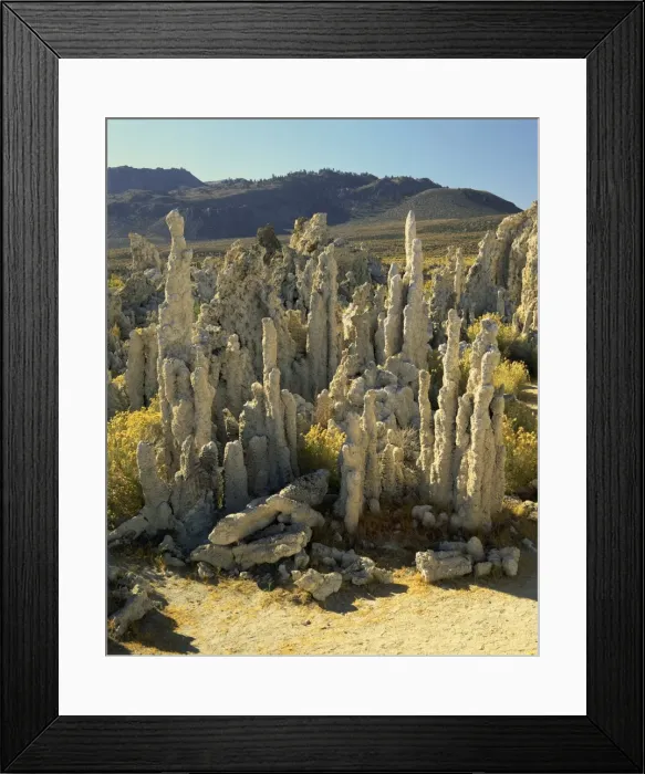 Framed Print : Tufas of calcium carbonate, Mono Lake Tufa State Reserve, California, United States of America Framed Print : Tufas of calcium carbonate, Mono Lake Tufa State Reserve, California, United States of America