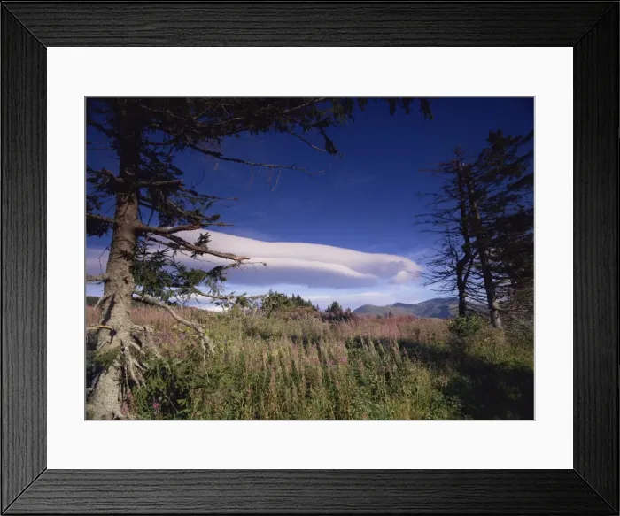 Framed Print : Summer evening, Col de Guery, Parc Naturel Regional des Volcans d Auvergne Framed Print : Summer evening, Col de Guery, Parc Naturel Regional des Volcans d Auvergne