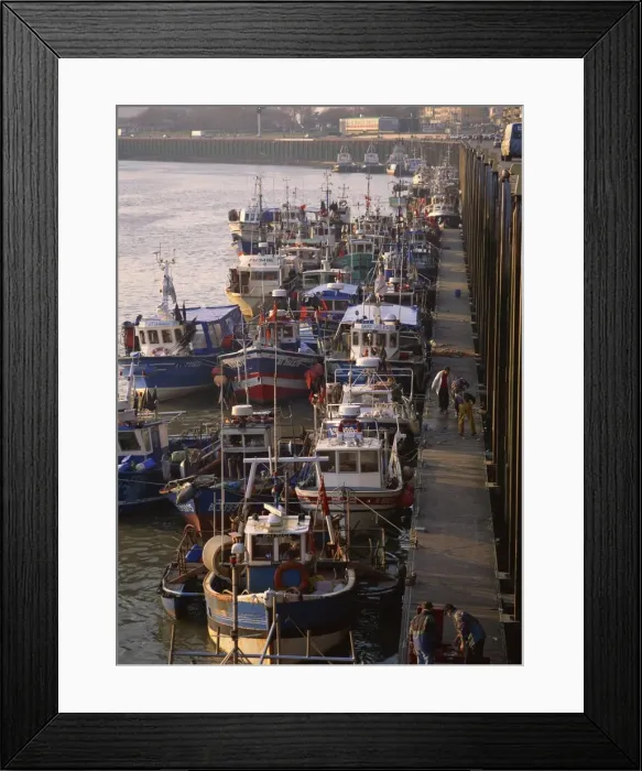 Framed Print : Fishing boats in harbour, Boulogne, Pas de Calais, Nord, France, Europe Framed Print : Fishing boats in harbour, Boulogne, Pas de Calais, Nord, France, Europe