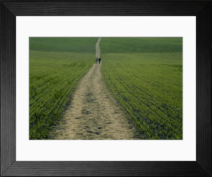 Framed Print : The Ridgeway Path, Ellesborough, Chilterns, Buckinghamshire, England, United Kingdom Framed Print : The Ridgeway Path, Ellesborough, Chilterns, Buckinghamshire, England, United Kingdom