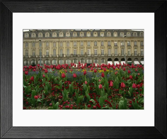 Framed Print : Rennes, Ille-et-Villaine, Brittany, France, Europe Framed Print : Rennes, Ille-et-Villaine, Brittany, France, Europe