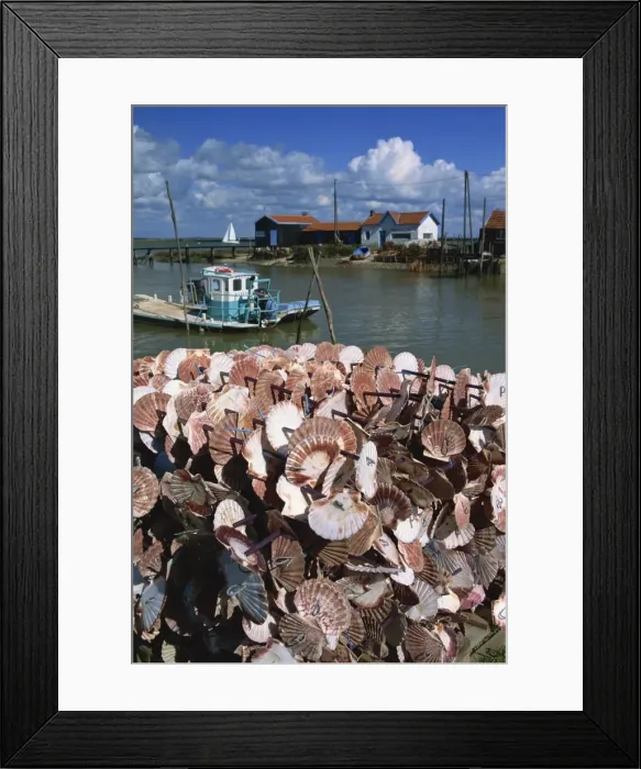 Framed Print : Oyster boat, River Seudre, Le Tregarde, Charente Maritime, Poitou-Charentes Framed Print : Oyster boat, River Seudre, Le Tregarde, Charente Maritime, Poitou-Charentes