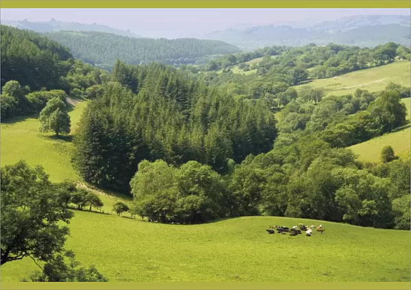 Countryside, Powys, mid-Wales, Wales, United Kingdom, Europe