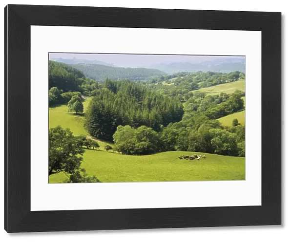 Countryside, Powys, mid-Wales, Wales, United Kingdom, Europe