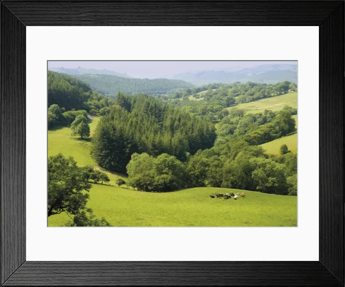 Framed Print : Countryside, Powys, mid-Wales, Wales, United Kingdom, Europe Framed Print : Countryside, Powys, mid-Wales, Wales, United Kingdom, Europe