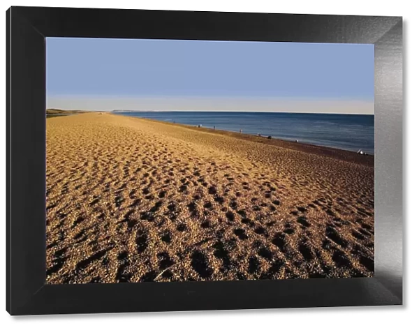 Chesil Beach, Dorset, England, United Kingdom, Europe