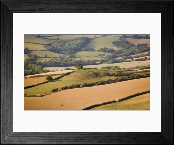 Framed Print : Countryside along coast path to Thornecombe Beacon, Eype Mouth, Jurassic Coast Framed Print : Countryside along coast path to Thornecombe Beacon, Eype Mouth, Jurassic Coast