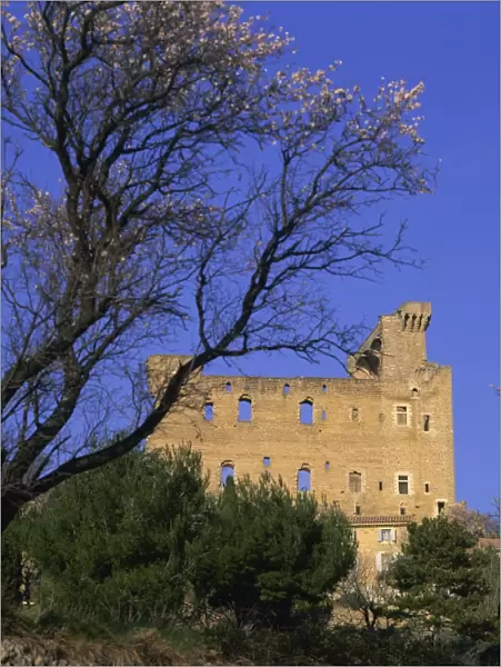 Chateau des Papes, Chateauneuf-du-Pape, Vaucluse, Provence, France, Europe