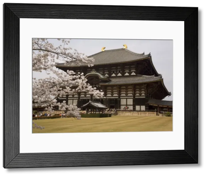 Framed Print : Todaiji temple, UNESCO World Heritage Site, Nara, Japan, Asia Framed Print : Todaiji temple, UNESCO World Heritage Site, Nara, Japan, Asia