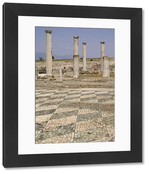 Pella, Alexander the Greats old city, Macedonia, Greece, Europe