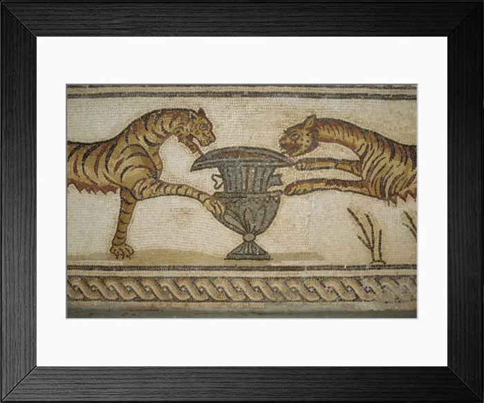 Framed Print : Mosaic in museum, Tolmeita, Libya, North Africa, Africa Framed Print : Mosaic in museum, Tolmeita, Libya, North Africa, Africa