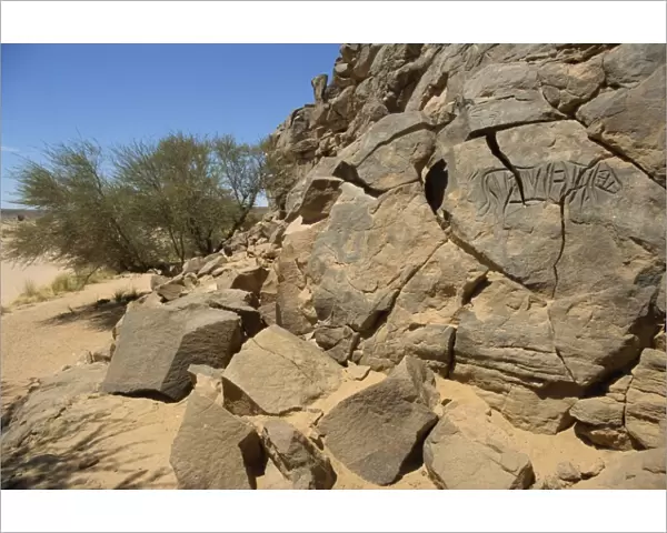 Rock carvings, Wadi Maknusah, Libya, North Africa, Africa