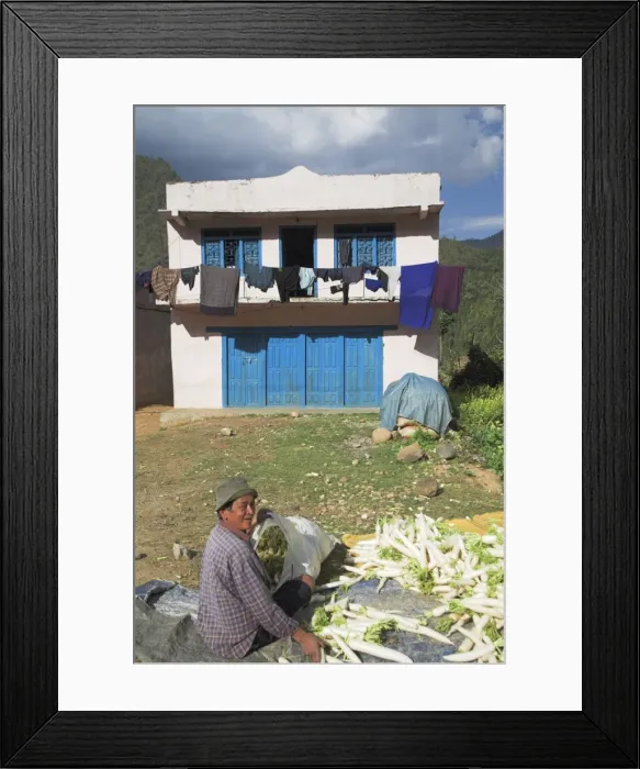 Framed Print : Man sitting outside his house packing vegetables, Bandare village, Trisuli Valley Framed Print : Man sitting outside his house packing vegetables, Bandare village, Trisuli Valley
