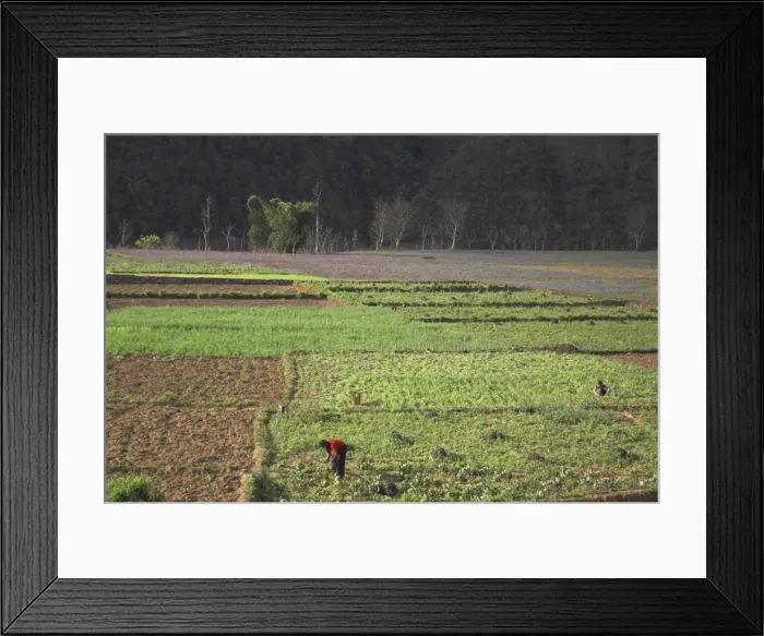 Framed Print : Fields near Bandare Village, Trisuli Valley, Nepal, Asia Framed Print : Fields near Bandare Village, Trisuli Valley, Nepal, Asia
