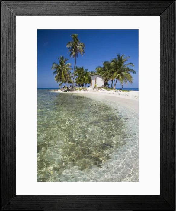 Framed Print : Palm trees on beach, Silk Caye, Belize, Central America Framed Print : Palm trees on beach, Silk Caye, Belize, Central America