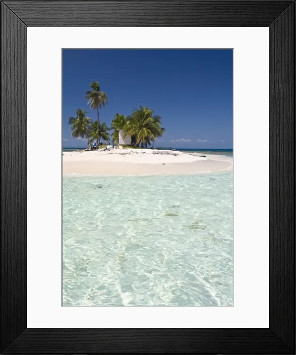 Framed Print : Palm trees on beach, Silk Caye, Belize, Central America Framed Print : Palm trees on beach, Silk Caye, Belize, Central America