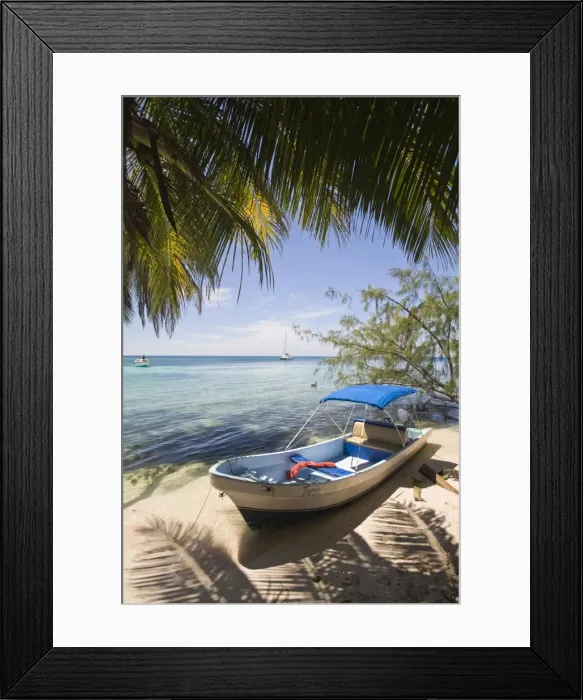 Framed Print : Small boat on beach under coconut palm, Ranguana Caye, Belize, Central America Framed Print : Small boat on beach under coconut palm, Ranguana Caye, Belize, Central America
