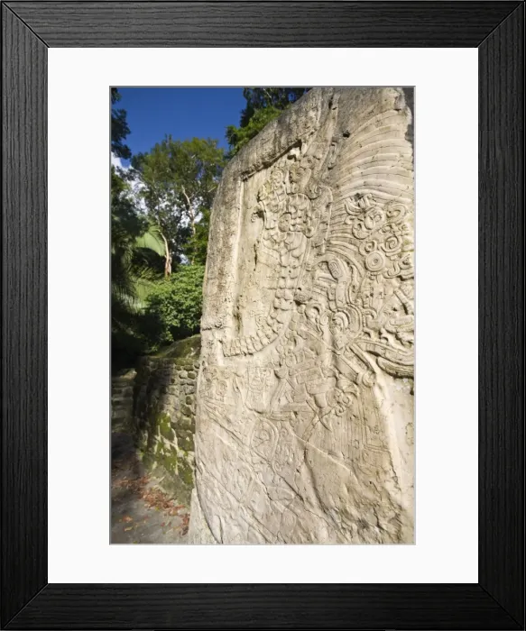 Framed Print : Stela 9 erected in AD 625 to commemorate the accession of Lord Smoking Shell in 608 Framed Print : Stela 9 erected in AD 625 to commemorate the accession of Lord Smoking Shell in 608