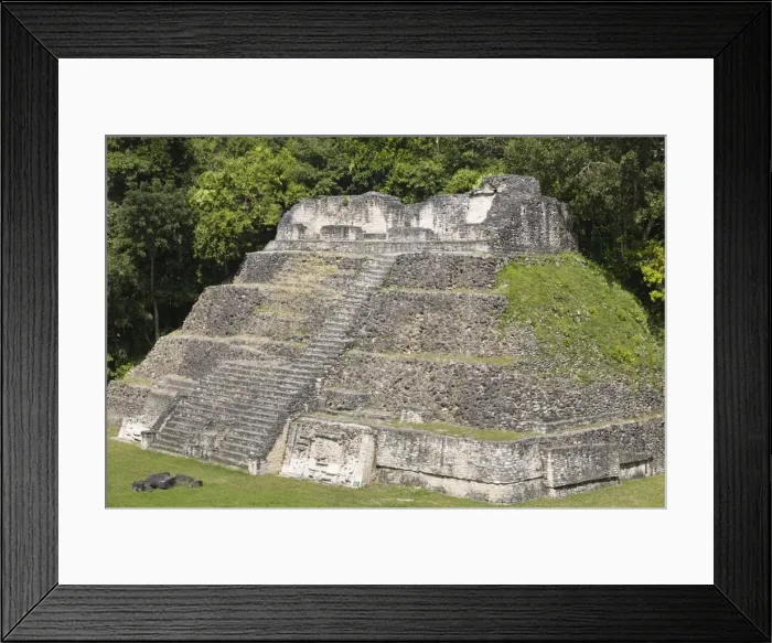 Framed Print : Plaza A Temple, Mayan ruins, Caracol, Belize, Central America Framed Print : Plaza A Temple, Mayan ruins, Caracol, Belize, Central America