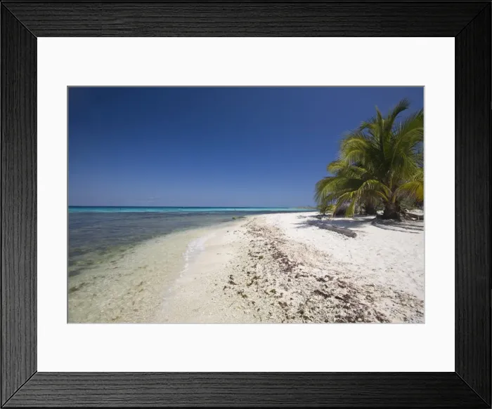 Framed Print : Laughing Bird Caye National Park, UNESCO World Heritage Site, Belize, Central America Framed Print : Laughing Bird Caye National Park, UNESCO World Heritage Site, Belize, Central America