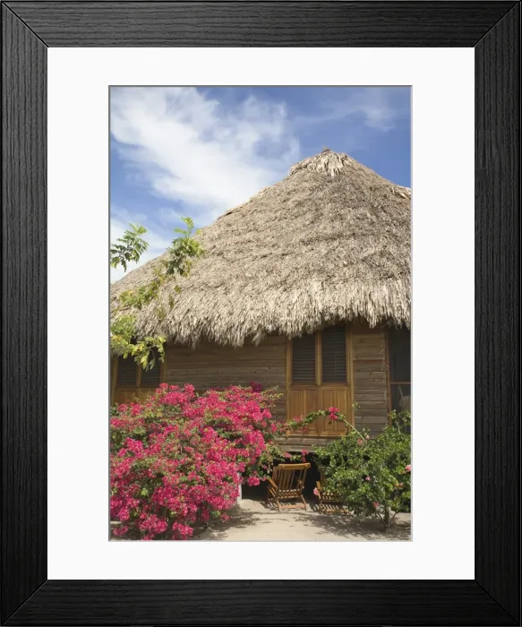 Framed Print : Thatched cottage at The Turtle Inn, Francis Ford-Cappolas beach front hotel Framed Print : Thatched cottage at The Turtle Inn, Francis Ford-Cappolas beach front hotel