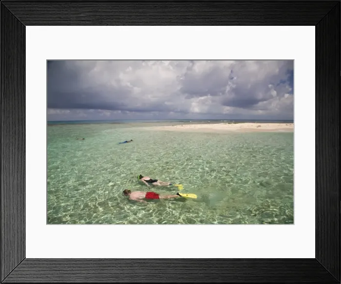Framed Print : Tourists snorkelling, Bird Island, Belize, Central America Framed Print : Tourists snorkelling, Bird Island, Belize, Central America