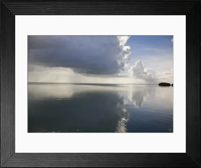 Framed Print : Swallow Caye Wildlife sanctuary, Belize, Central America Framed Print : Swallow Caye Wildlife sanctuary, Belize, Central America