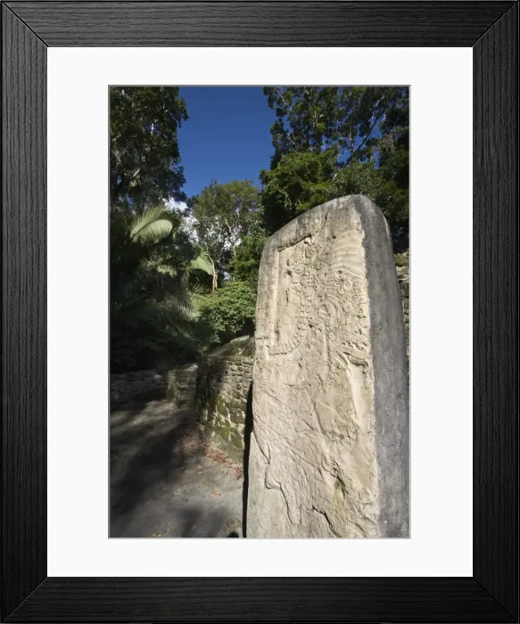 Framed Print : Stela 9 erected in AD 625 to commemorate the accession of Lord Smoking Shell in 608 Framed Print : Stela 9 erected in AD 625 to commemorate the accession of Lord Smoking Shell in 608