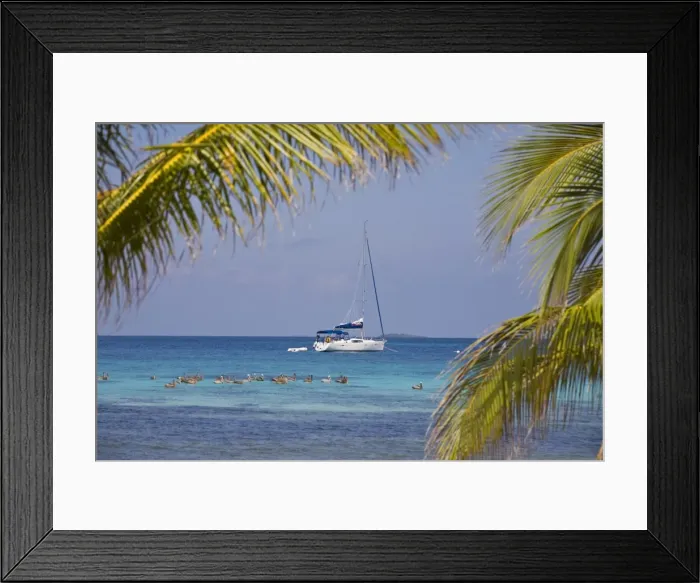Framed Print : Pelicans in front of catamaran, Laughing Bird Caye National Park, UNESCO World Heritage Site Framed Print : Pelicans in front of catamaran, Laughing Bird Caye National Park, UNESCO World Heritage Site