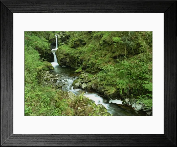 Framed Print : Watersmeet, Exmoor National Park, Devon, England, United Kingdom, Europe Framed Print : Watersmeet, Exmoor National Park, Devon, England, United Kingdom, Europe
