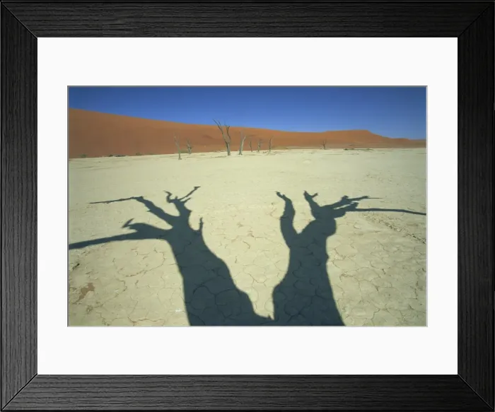 Framed Print : Shadows of dead trees, Dead Vlei, Namib Naukluft Park, Namibia, Africa Framed Print : Shadows of dead trees, Dead Vlei, Namib Naukluft Park, Namibia, Africa