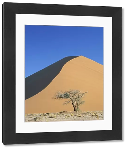 Sand dune near Sesriem, Namib Naukluft Park, Namibia, Africa