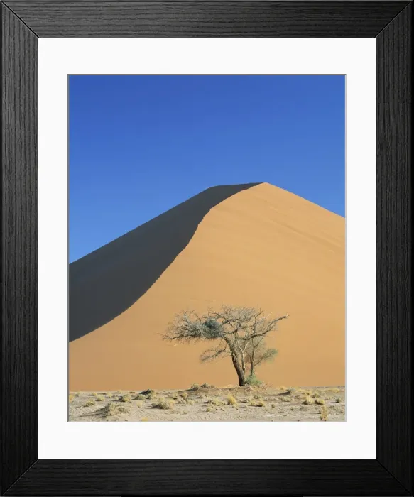 Framed Print : Sand dune near Sesriem, Namib Naukluft Park, Namibia, Africa Framed Print : Sand dune near Sesriem, Namib Naukluft Park, Namibia, Africa
