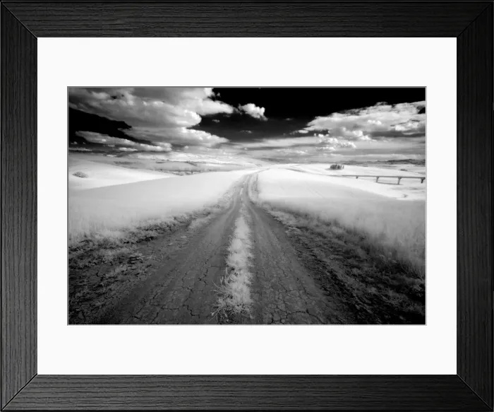Framed Print : Infrared image of dirt track through fields near San Quirico d Orcia Framed Print : Infrared image of dirt track through fields near San Quirico d Orcia
